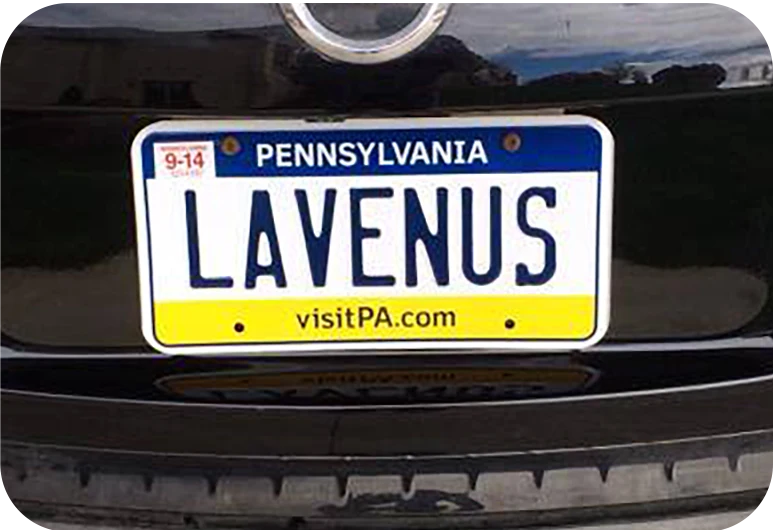 car bumper with license plate of lavenus displayed